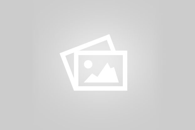 اهمیت نهالستان ها