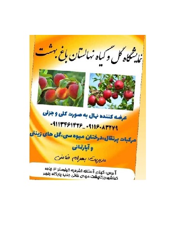 اهمیت نهالستان ها